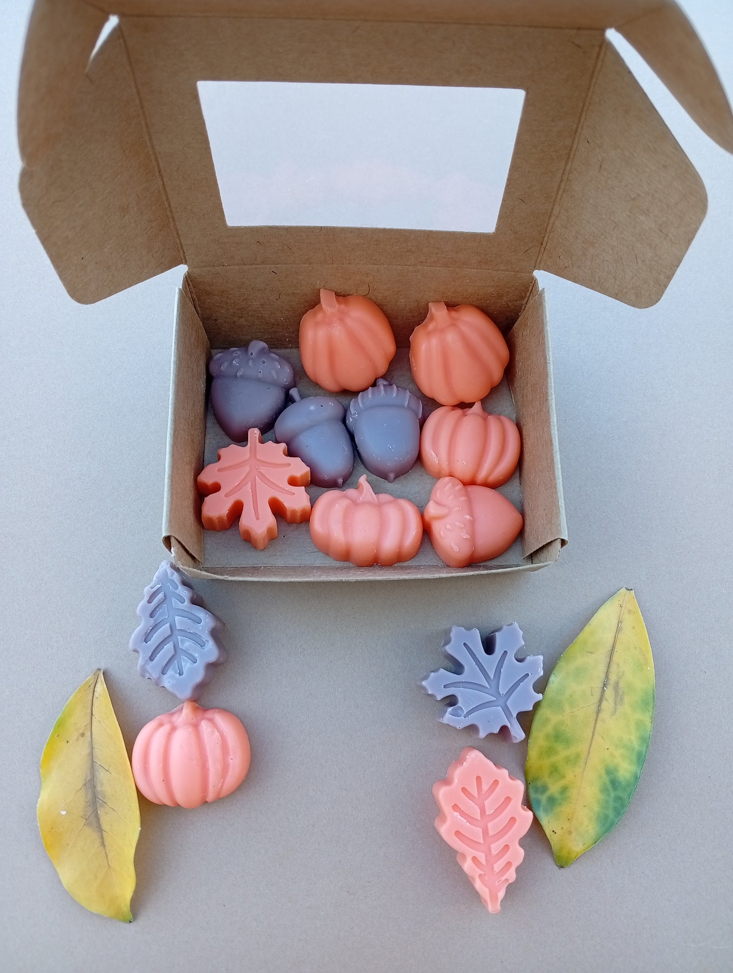 Wax Melts Âmbar e Sândalo